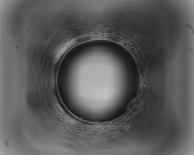 X0000100970005200806241602