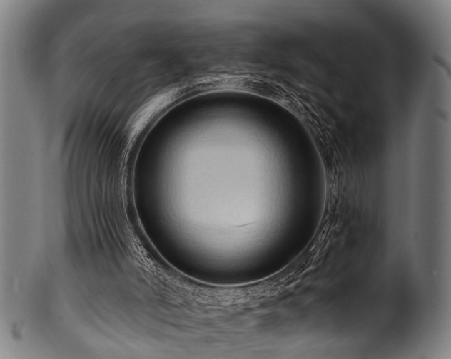 X0000100970006200806241602