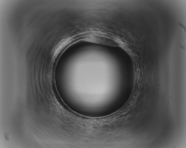X0000100970007200806241602