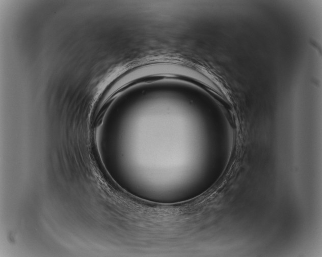 X0000100970008200806241602