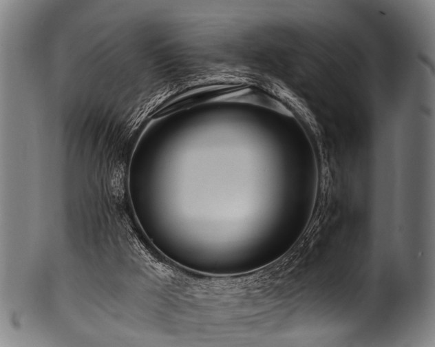 X0000100970009200806241602