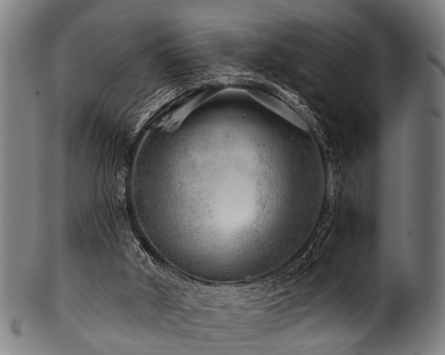 X0000100970010200806241602