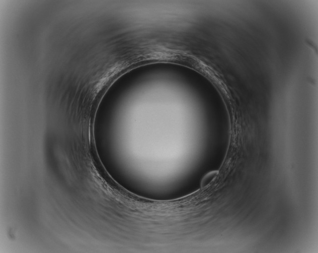 X0000100970011200806241602