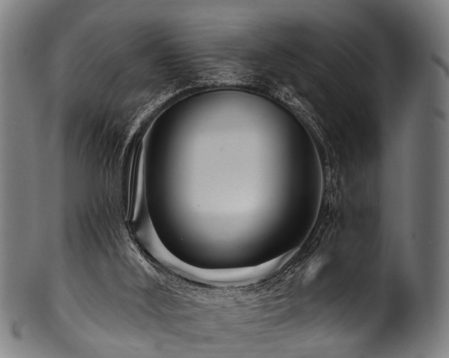 X0000100970012200806241602