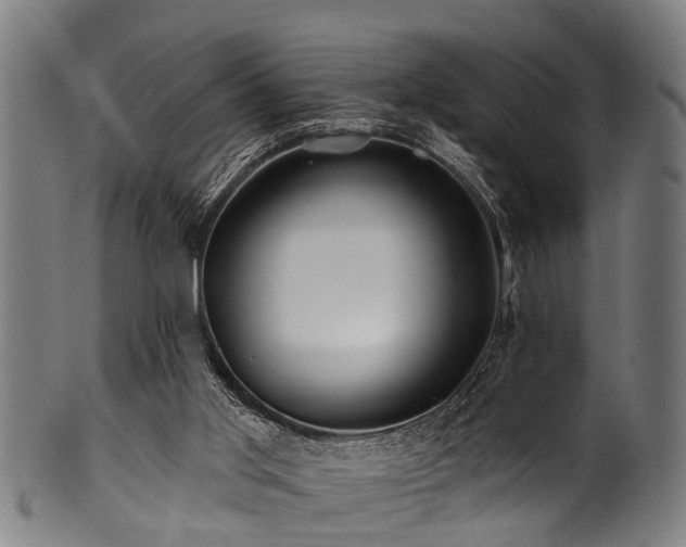 X0000100970013200806241602