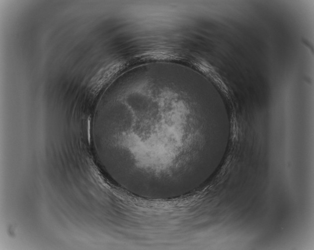 X0000100970014200806241602