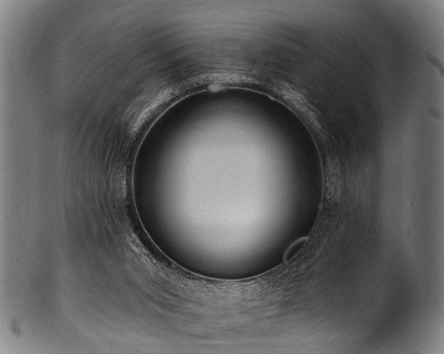 X0000100970015200806241602