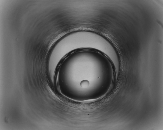 X0000100970016200806241602