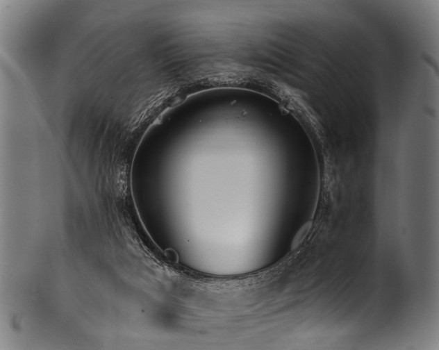X0000100970017200806241602