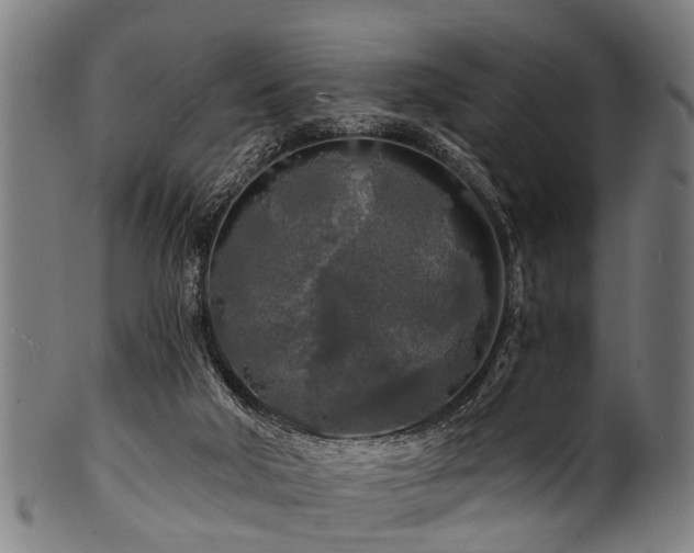 X0000100970018200806241602