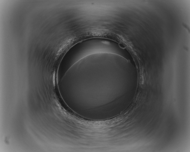 X0000100970019200806241602