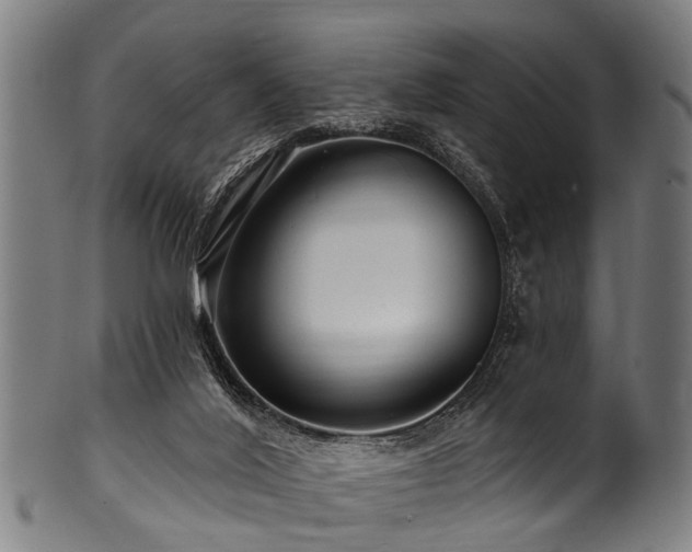 X0000100970020200806241602