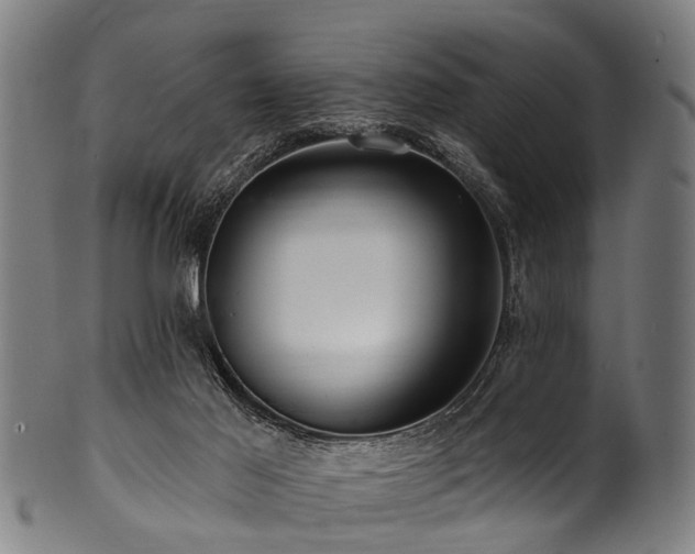 X0000100970021200806241602