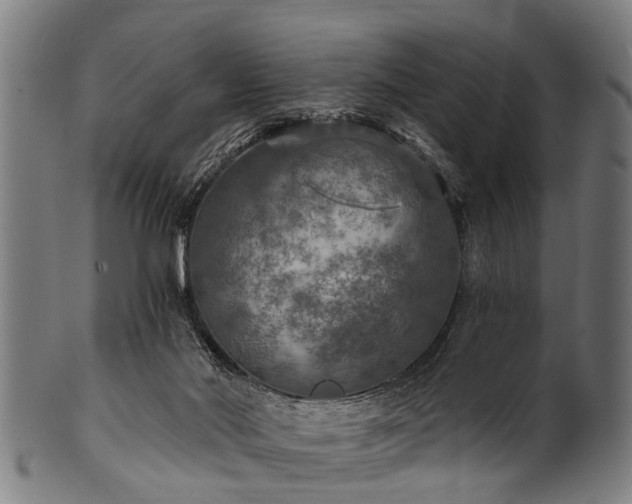 X0000100970022200806241602