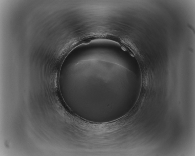 X0000100970023200806241602