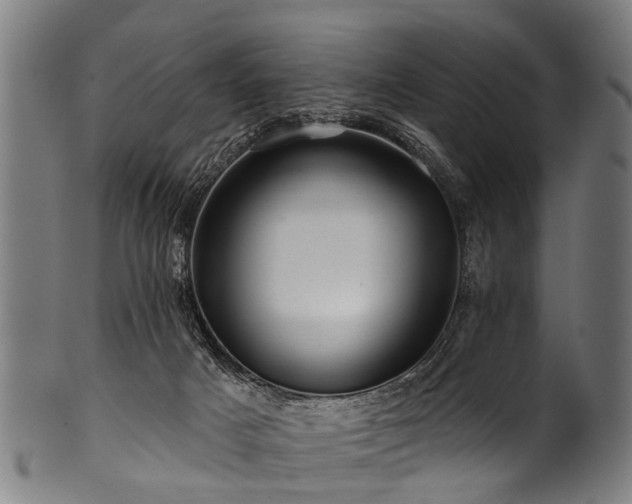 X0000100970025200806241602