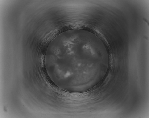 X0000100970026200806241602