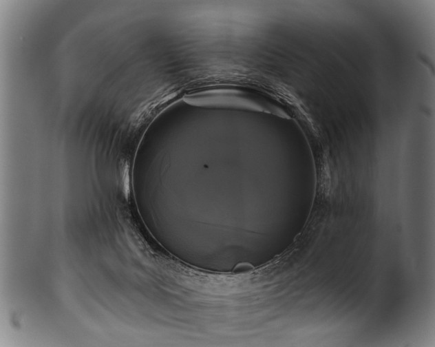 X0000100970027200806241602
