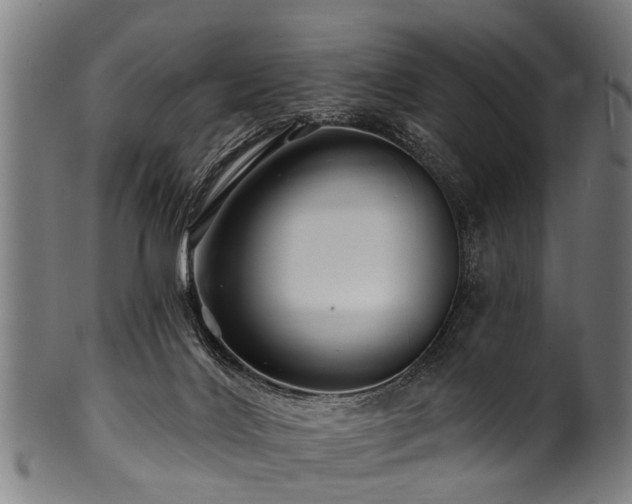 X0000100970028200806241602