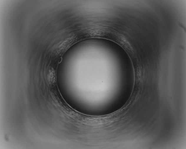 X0000100970029200806241602