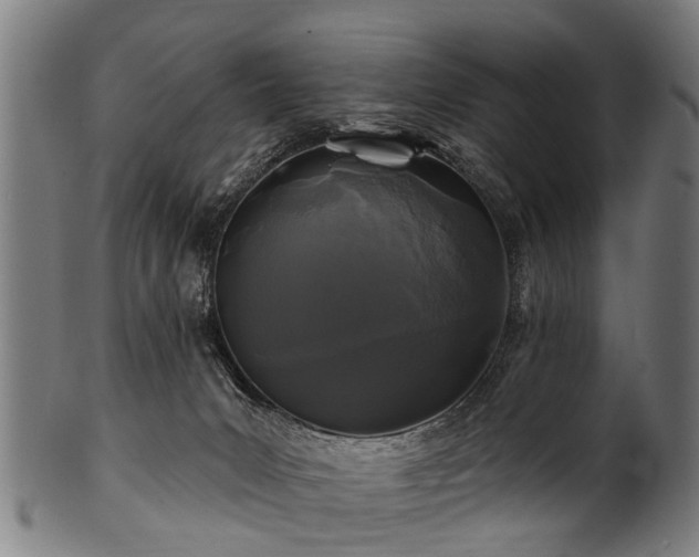 X0000100970031200806241602