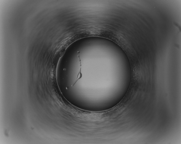 X0000100970032200806241602