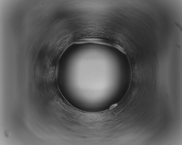 X0000100970034200806241602