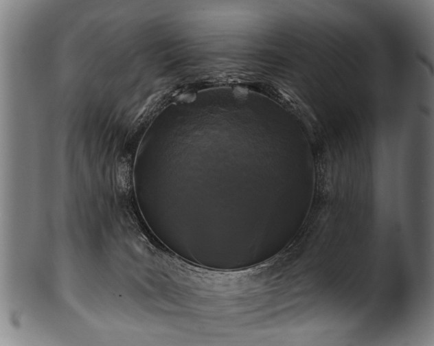 X0000100970035200806241602
