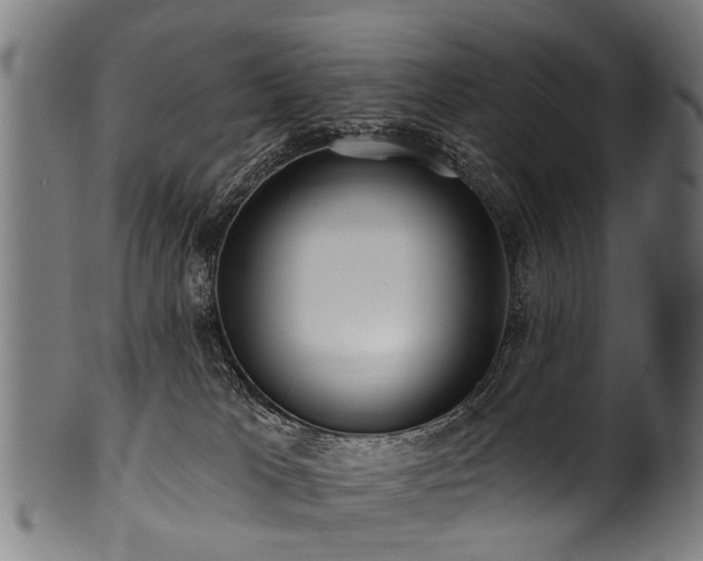 X0000100970037200806241602