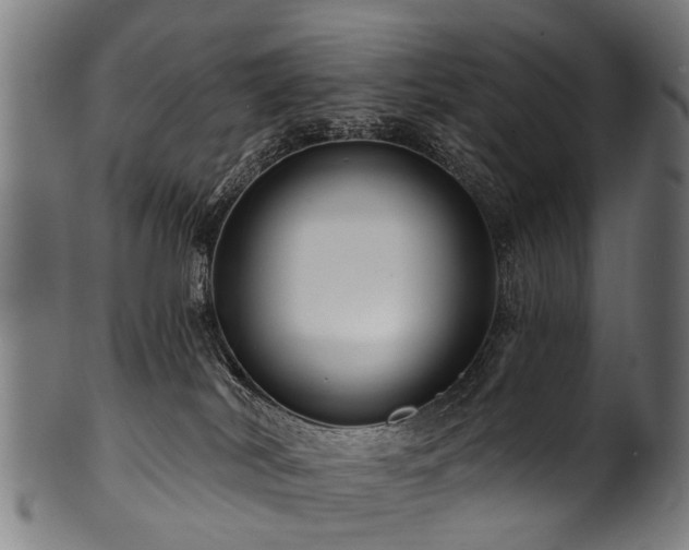 X0000100970038200806241602