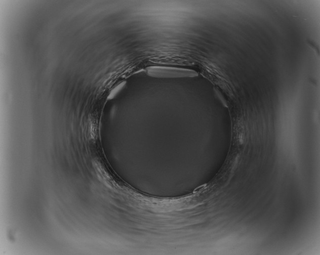 X0000100970039200806241602