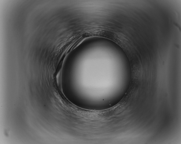 X0000100970040200806241602