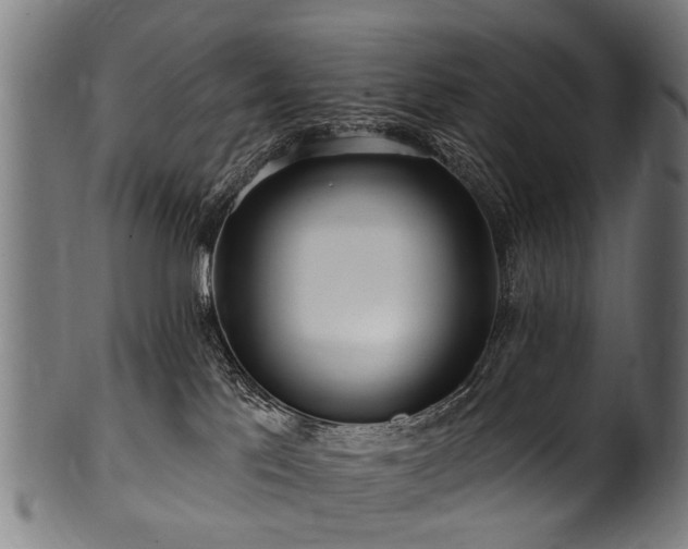 X0000100970041200806241602
