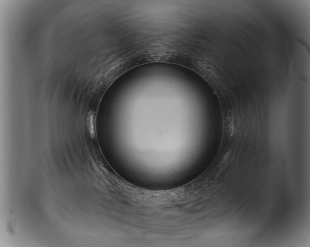 X0000100970042200806241602