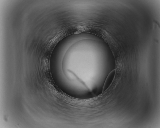 X0000100970043200806241602