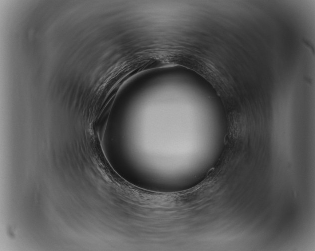 X0000100970044200806241602