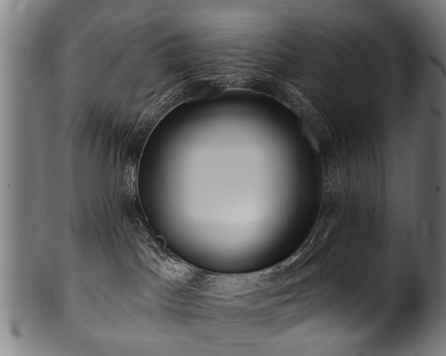 X0000100970045200806241601