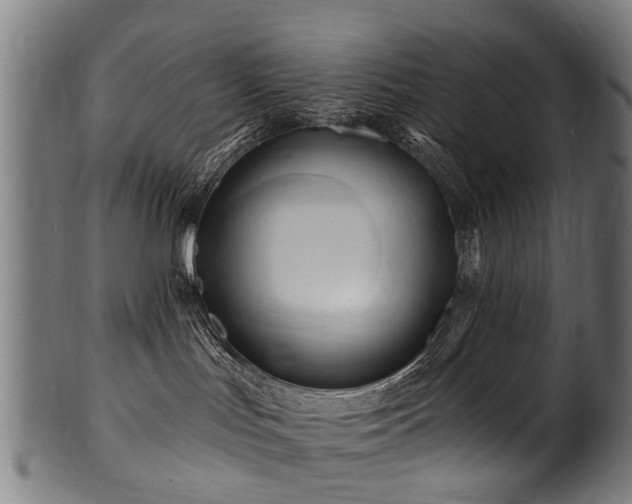 X0000100970047200806241601