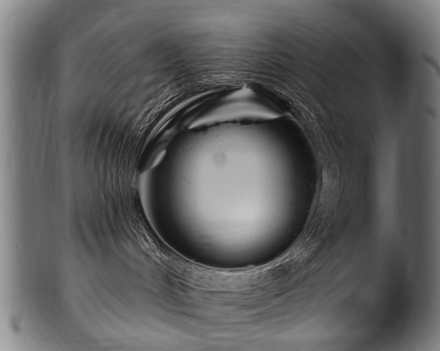 X0000100970048200806241601