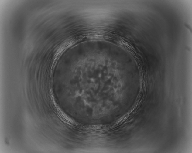 X0000100970049200806241601