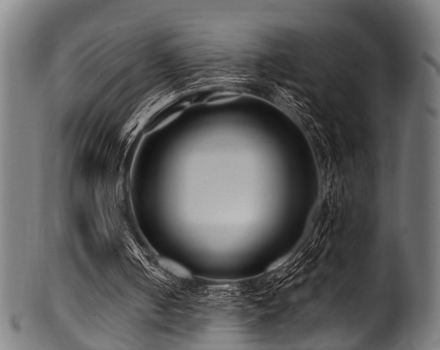 X0000100970050200806241601