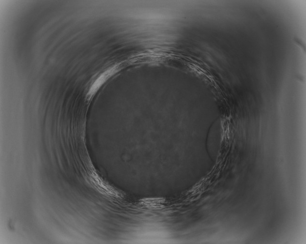 X0000100970051200806241601