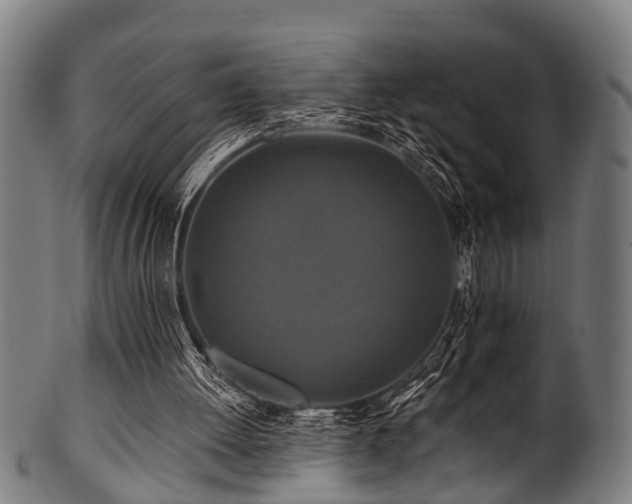 X0000100970052200806241601