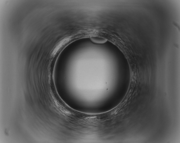 X0000100970054200806241601