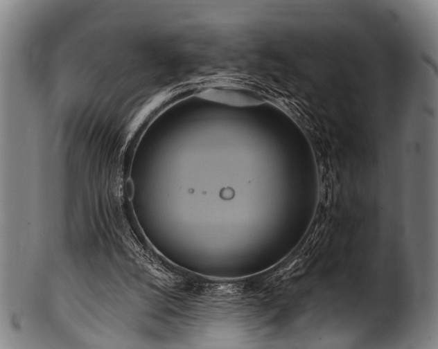X0000100970056200806241601