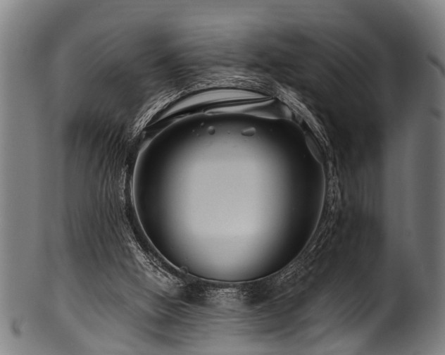 X0000100970058200806241601
