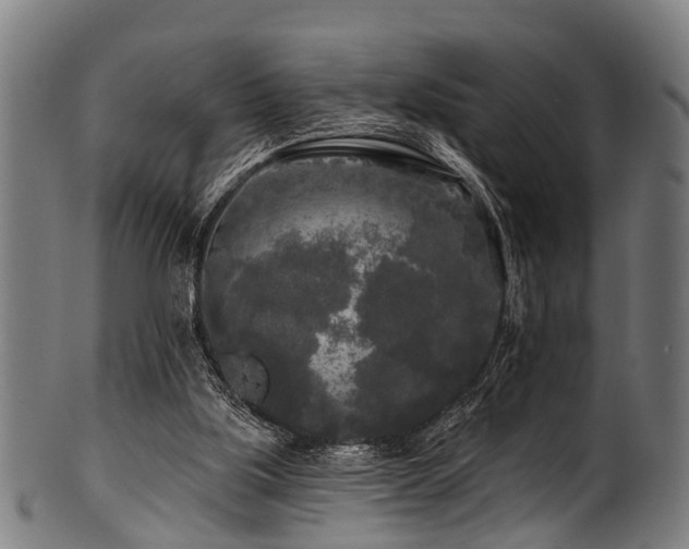 X0000100970059200806241601