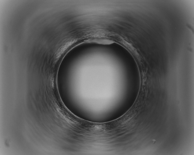 X0000100970060200806241601