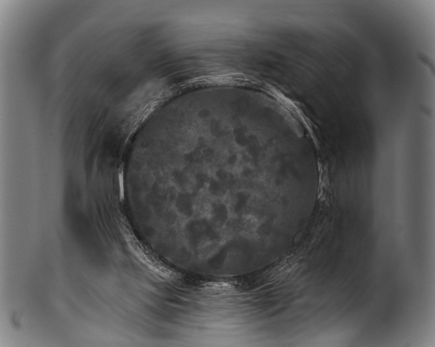 X0000100970061200806241601