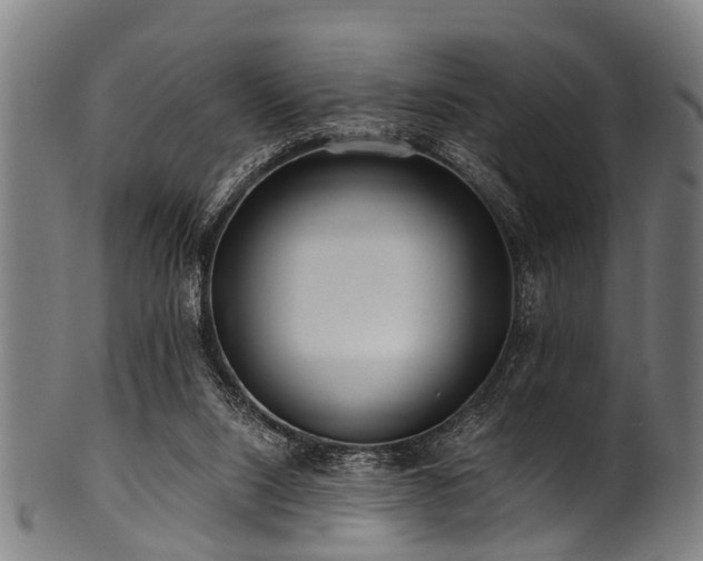 X0000100970064200806241601
